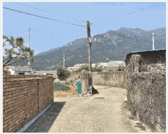  2025Ÿ��80  ���ð��