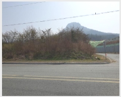  2025Ÿ��83  ����������