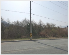  2025Ÿ��83  ����������