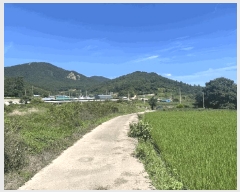  2025Ÿ��89  �����