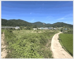  2025Ÿ��89  �����