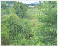  2025Ÿ��89  �����