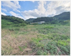  2025Ÿ��89  �����