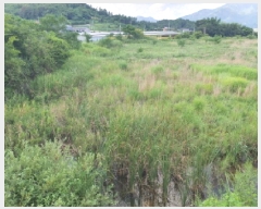  2025Ÿ��89  �����