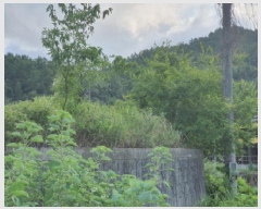  2025Ÿ��89  �����