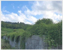  2025Ÿ��89  �����