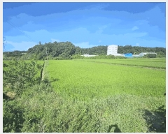  2025Ÿ��90 ���� ������ ��õ�� ���⸮ 933-10      ����(��)���