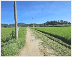  2025Ÿ��90 ���� ������ ��õ�� ���⸮ 933-10      ����(��)���