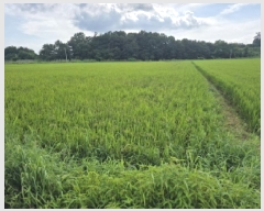  2025Ÿ��90 ���� ������ ��õ�� ���⸮ 933-10      ����(��)���