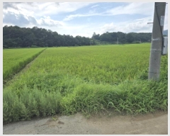  2025Ÿ��90 ���� ������ ��õ�� ���⸮ 933-10      ����(��)���