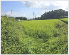  2025Ÿ��90 ���� ������ ��õ�� ���⸮ 933-10      ����(��)���