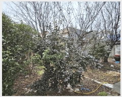  2025Ÿ��5104  ���ð��