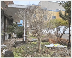  2025Ÿ��5104  ���ð��