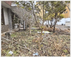  2025Ÿ��5104  ���ð��