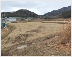  2025Ÿ��5142  ����