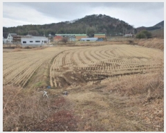  2025Ÿ��5142  ����