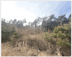  2025Ÿ��5173  �����