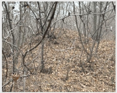  2025Ÿ��5173  �����