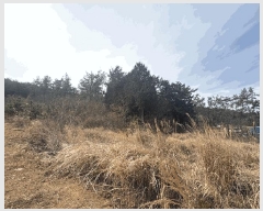  2025Ÿ��5173  �����