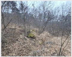  2025Ÿ��5173  �����