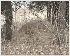  2025Ÿ��5173  �����