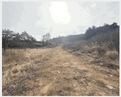  2025Ÿ��5173  �����