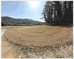  2025Ÿ5198     132      (1)