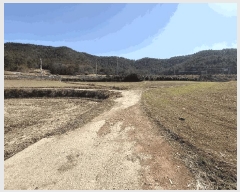  2025Ÿ5198     132      (1)