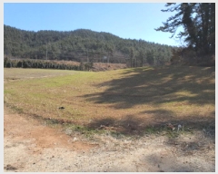  2025Ÿ5198     132      (1)