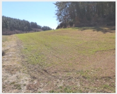  2025Ÿ5198     132      (1)