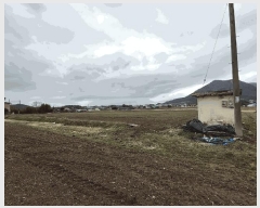  2025Ÿ5206     260      (1)