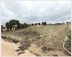  2025Ÿ5206     260      (1)