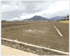  2025Ÿ5206     260      (1)