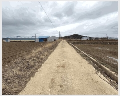  2025Ÿ5206     260      (1)