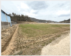  2025Ÿ��5209 ���� ���ﱺ �Ⱦ�� ��â�� 1210-7      ����(��)���