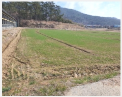  2025Ÿ��5209 ���� ���ﱺ �Ⱦ�� ��â�� 1210-7      ����(��)���