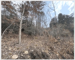  2025Ÿ5210   ϸ  9-1      (Ӿ)