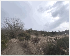  2025Ÿ5210   ϸ  9-1      (Ӿ)