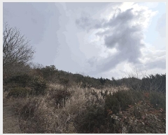  2025Ÿ5210   ϸ  9-1      (Ӿ)