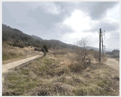  2025Ÿ5210   ϸ  9-1      (Ӿ)