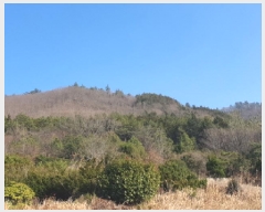  2025Ÿ5210   ϸ  9-1      (Ӿ)