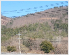  2025Ÿ5210   ϸ  9-1      (Ӿ)