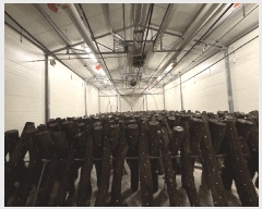  2025Ÿ��5212 ���� ���ﱺ ������ ���Ҹ� 162      ����,â�����