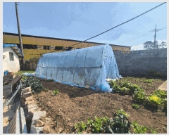  2025Ÿ��5217 ���� ���ﱺ �Ⱦ�� ��긮 564-1      ���ð��