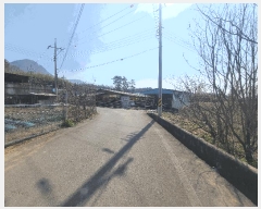  2025Ÿ��5217 ���� ���ﱺ �Ⱦ�� ��긮 564-1      ���ð��