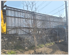  2025Ÿ��5217 ���� ���ﱺ �Ⱦ�� ��긮 564-1      ���ð��