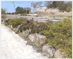  2025Ÿ��5218 ���� ������ ������ ������ 1122-3      ���ð��