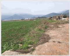  2025Ÿ��5221  �󰡰��