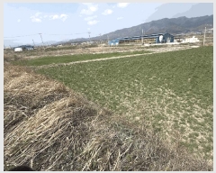  2025Ÿ��5227 ���� ������ ������ �Ļ긮 297-3      ��õ���