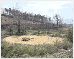  2025Ÿ��5227 ���� ������ ������ �Ļ긮 297-3      ��õ���